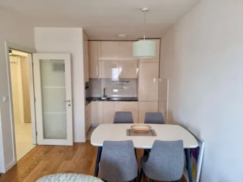 Izdavanje, jednosoban stan, 50m², Central Point, Podgorica - image 5