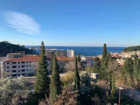 Prodaja, dvosoban stan, 59m2, Centar, Petrovac Prodaja, dvosoban stan, 59m2, Centar, Petrovac