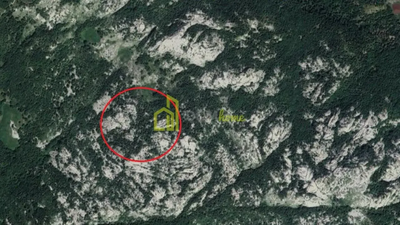 Prodaja, plac, 44105m², Bajice, Cetinje