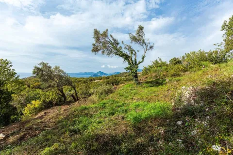 Pogled na zeleno imanje i okolni pejzaž sa drvećem. - image 6