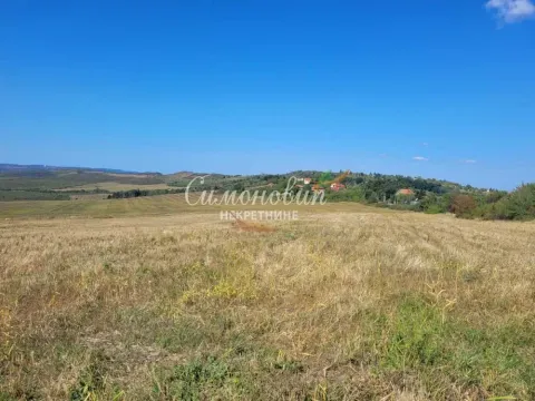 Sale, land lot, 18200m², Grocka, Beograd - image 3