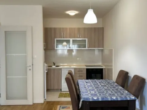 Prodaja, jednosoban stan, 49m², Central Point, Podgorica - image 3
