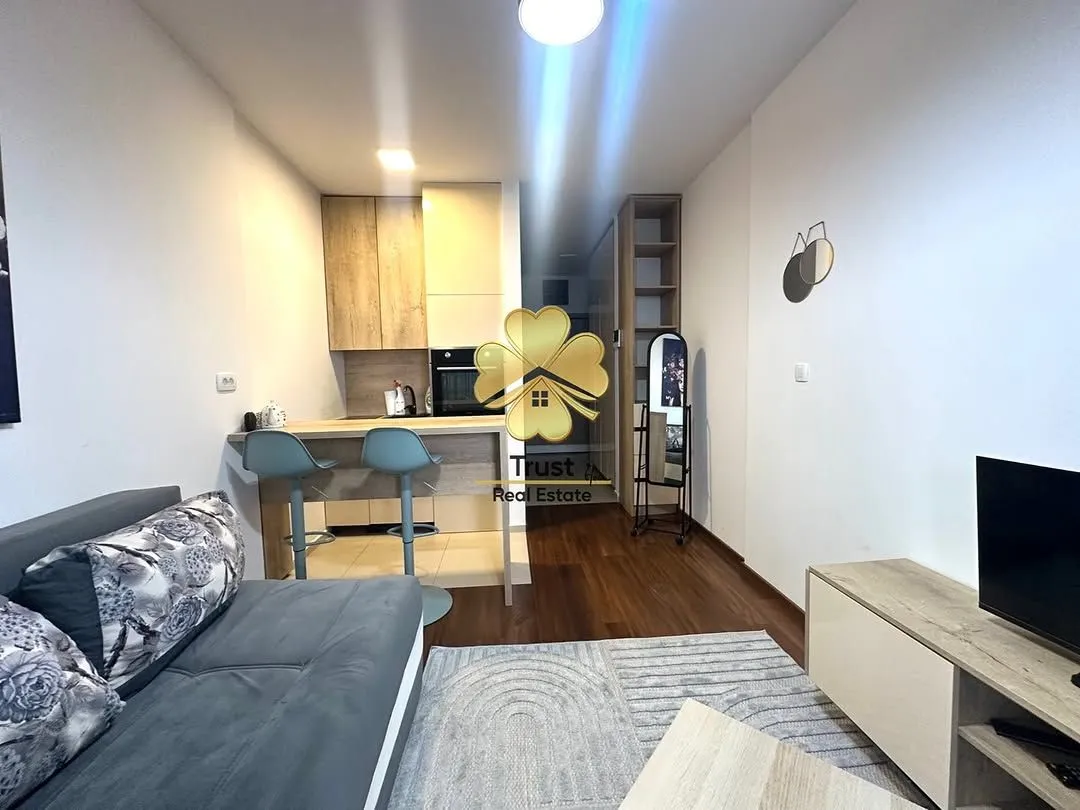 Izdavanje, jednosoban stan, 25m², Master Kvart, Podgorica