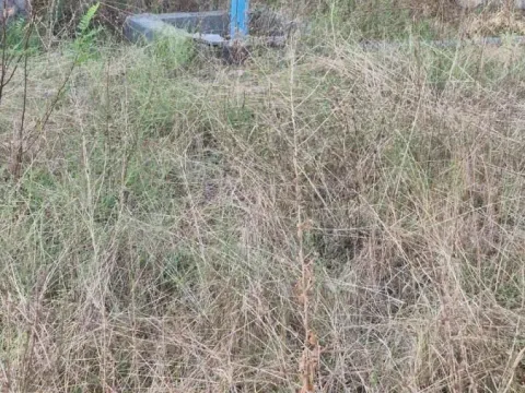 Prodaja, plac, 7300m², Spuž, Danilovgrad - image 7