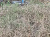 Prodaja, plac, 7300m², Spuž, Danilovgrad - image 7