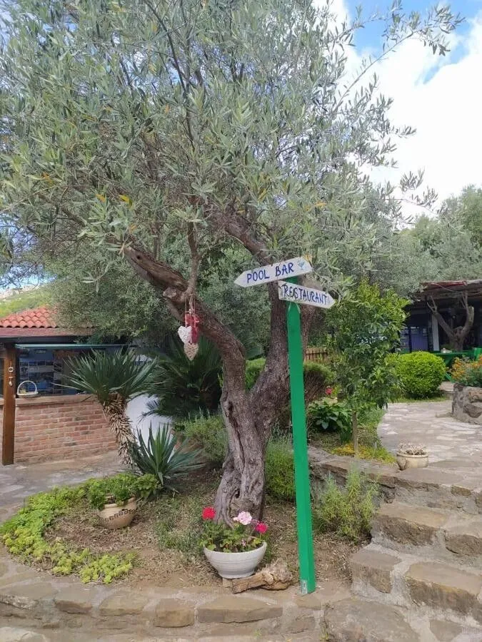 Prodaja, jednosoban stan, 28m², Bečići, Budva