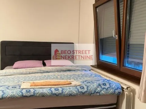 Izdavanje, jednosoban stan, 55m², Zvezdara Sve Podlokacije, Beograd - image 5