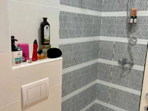 Izdavanje, garsonjera, 24m², Stari Aerodrom, Podgorica - image 6