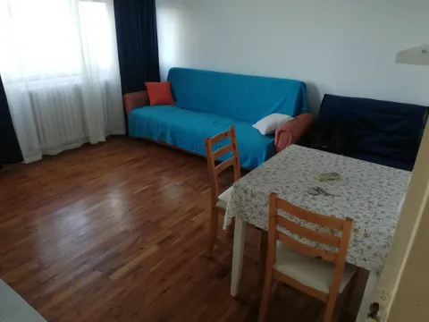 Izdavanje, garsonjera, 26m², Detelinara, Novi Sad Sve Podlokacije - image 9