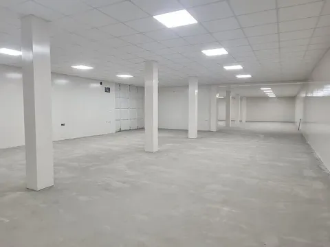 Izdavanje, poslovni prostor, 150m², Novi Beograd Sve Podlokacije, Beograd - image 6