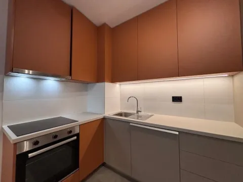 Izdavanje, stan, 60m², Hala Pionir, Palilula Sve Podlokacije - image 2