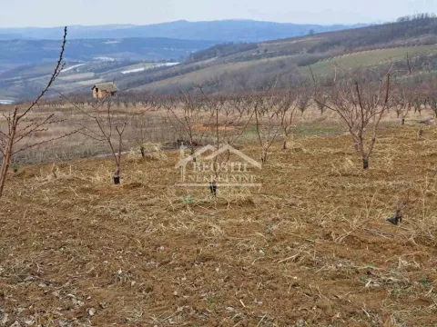 Prodaja, plac, 32477m², Begaljica, Grocka - image 6