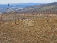 Prodaja, plac, Begaljica, Grocka - image 6