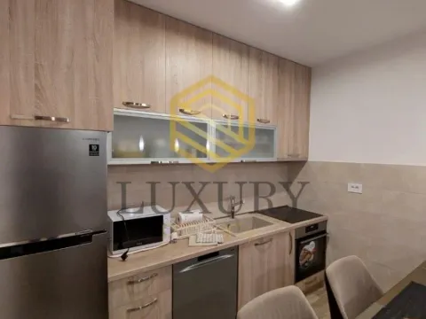 Izdavanje, jednosoban stan, 50m², Zabjelo, Podgorica - image 6