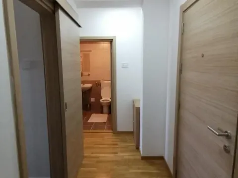 Rent, two bedroom apartment, 60m², Jugovićevo, Novi Sad Sve Podlokacije - image 14