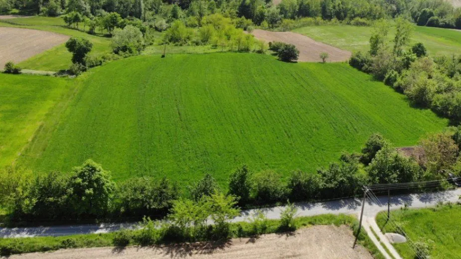 Prodaja, plac, 14683m², Tršić, Loznica