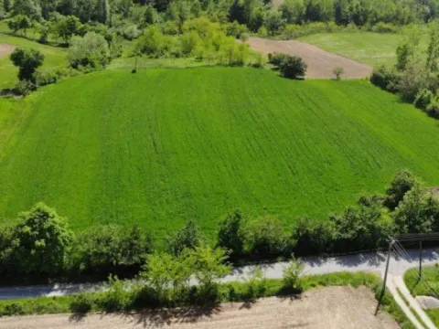 Prodaja, plac, 14683m², Tršić, Loznica - image 3