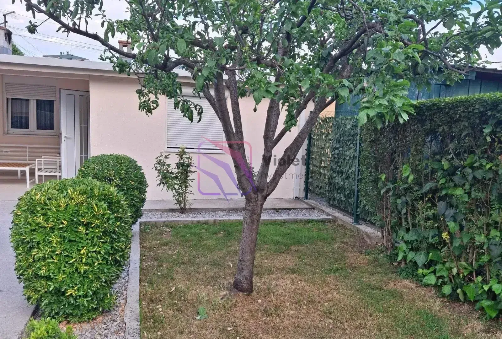 Pogled na uređeno dvorište ispred kuće sa stabalcem i zelenilom.