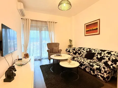Rent, one bedroom apartment, 48m², Vezirov Most, Podgorica - image 2