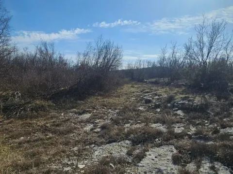 Prodaja, plac, 11179m², Podgorica, Crna Gora - image 5