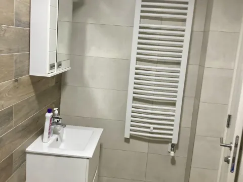 Izdavanje, jednosoban stan, 44m², Zemun Sve Podlokacije, Beograd - image 11