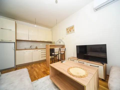 Izdavanje, stan, 25m², Zabjelo, Podgorica - image 3