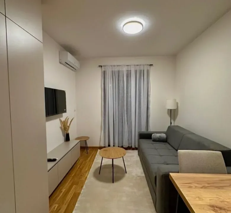 Izdavanje, garsonjera, 24m², Zabjelo, Podgorica