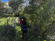 Sale, land lot, 3m², Kavač, Kotor - image 10