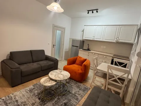 Rent, two bedroom apartment, 45m², Zabjelo, Podgorica - image 1