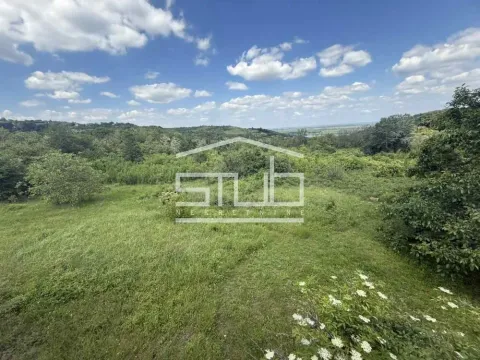 Prodaja, plac, 12400m², Grocka, Beograd - image 3