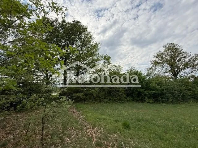Prodaja, plac, 5436m², Amerić, Mladenovac