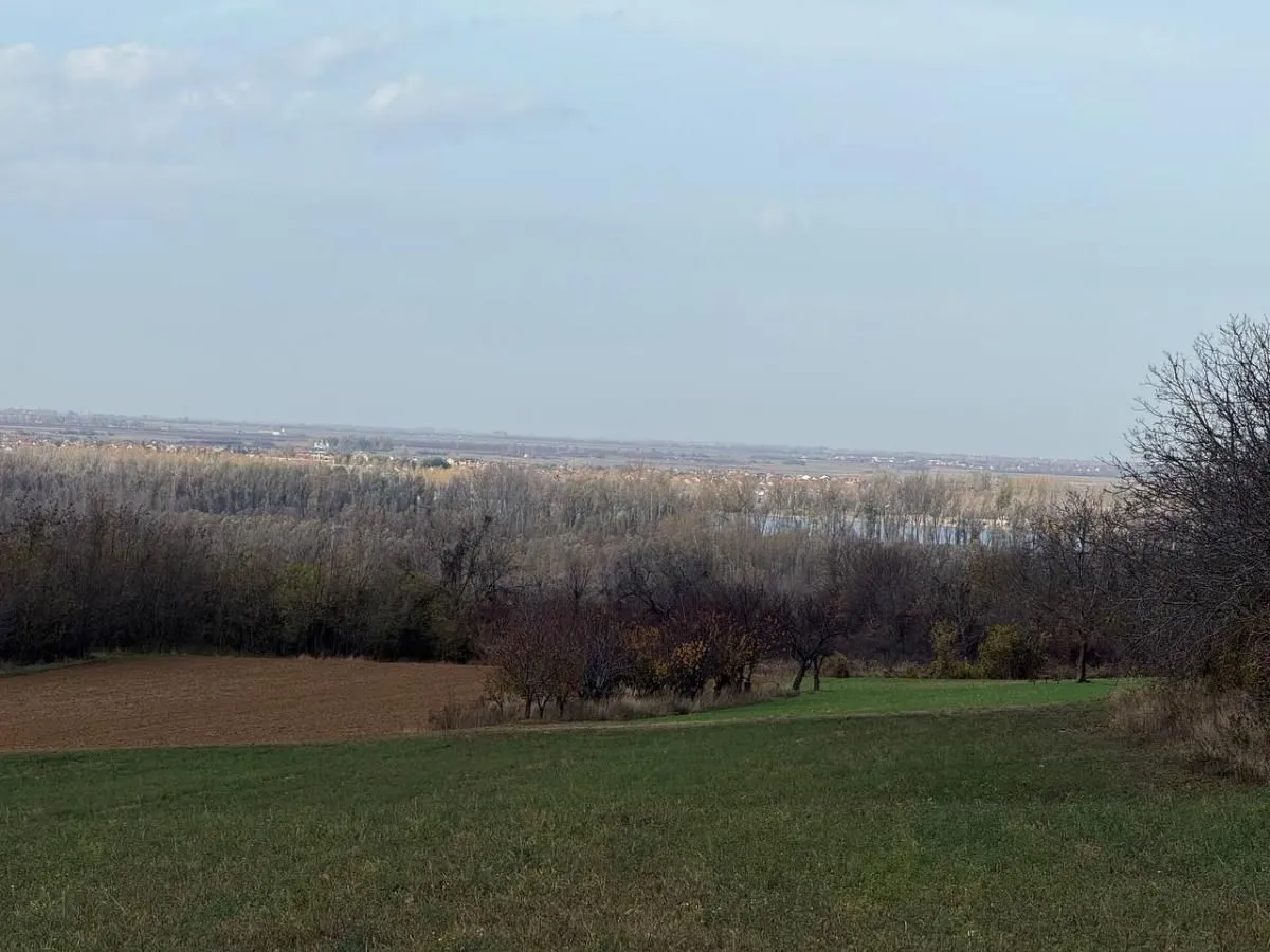Prodaja, plac, 24207m², Beočić, Rekovac