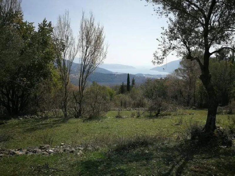 Prodaja, plac, 9800m², Herceg Novi, Crna Gora
