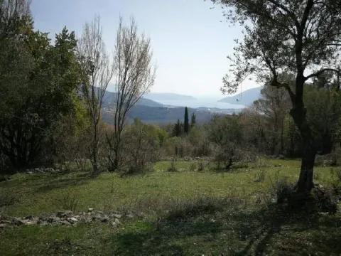 Prodaja, plac, 9800m², Herceg Novi, Crna Gora - image 3