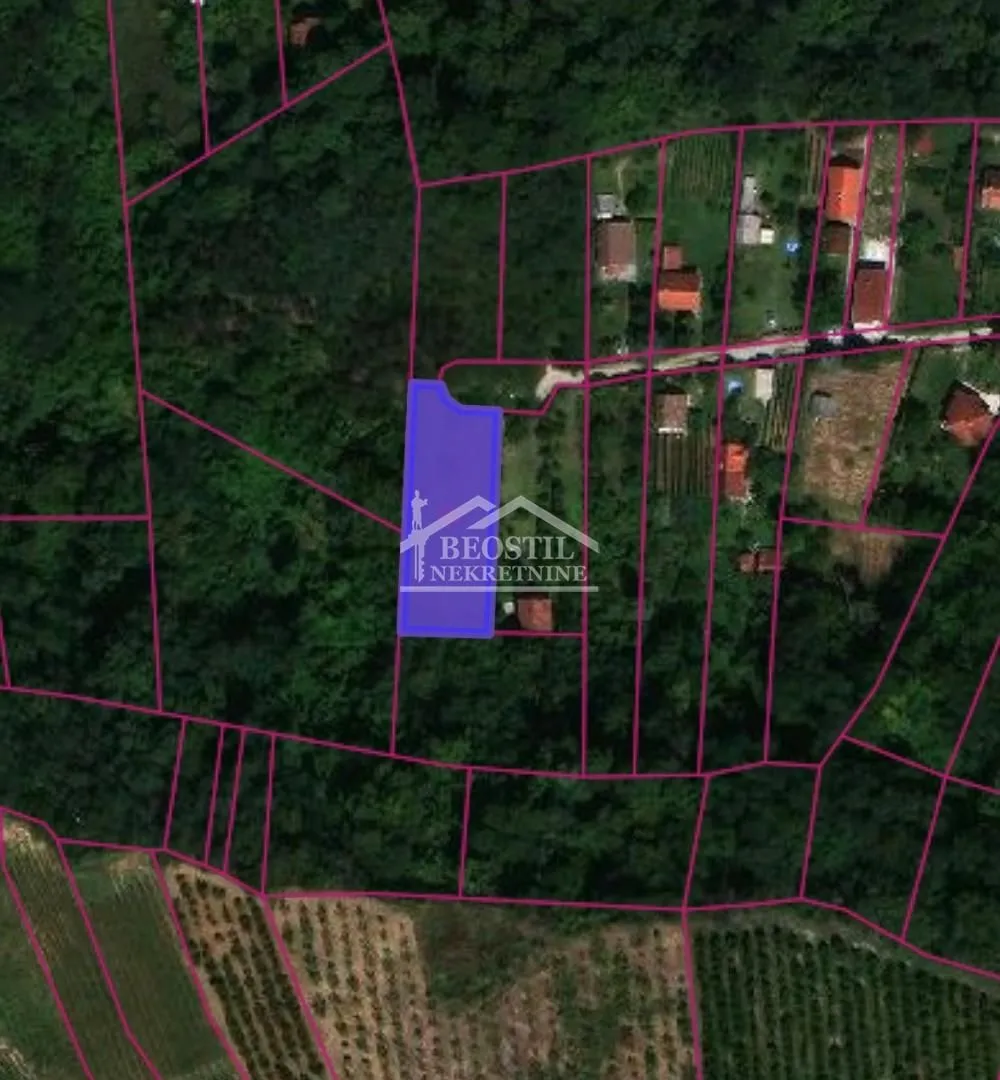 Katastarski plan prikazuje lokaciju i granice parcele sa okolnim zemljištem.