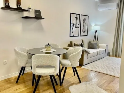 Izdavanje, jednosoban stan, 40m², Central Point, Podgorica - image 3