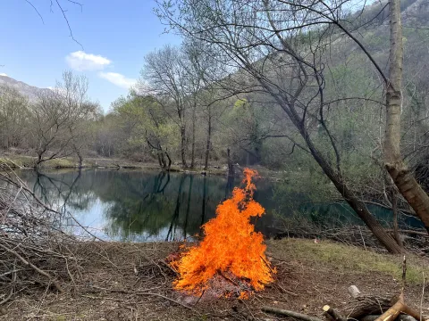 Prirodni ambijent sa vatrom pored vode i šumom u pozadini. - image 7