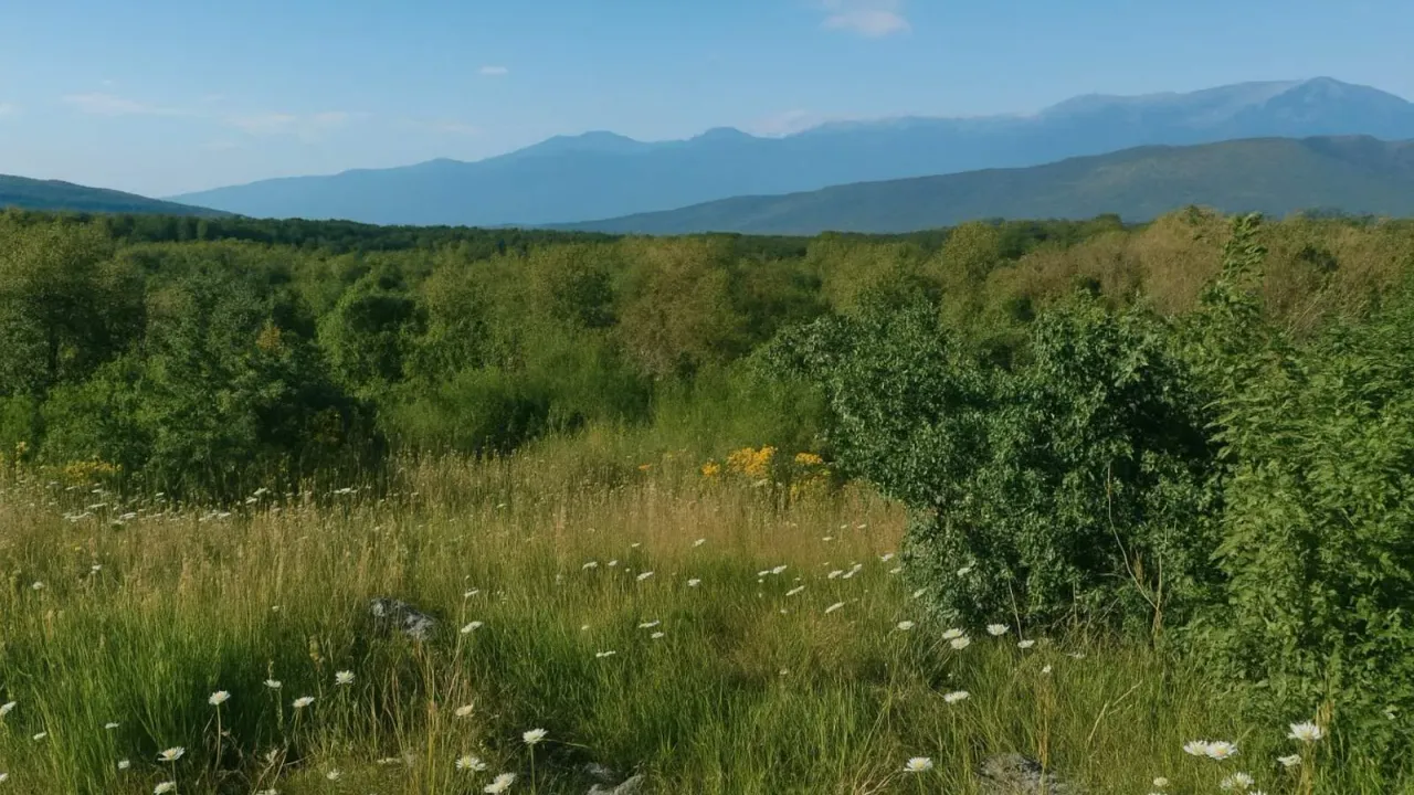 Sale, land lot, 30962m², Podgorica, Crna Gora