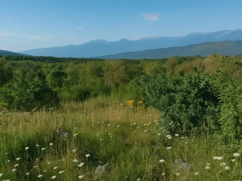 Prodaja, plac, 30962m², Podgorica, Crna Gora