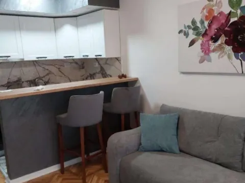 Rent, one bedroom apartment, 38m², Nova Detelinara, Novi Sad Sve Podlokacije - image 3