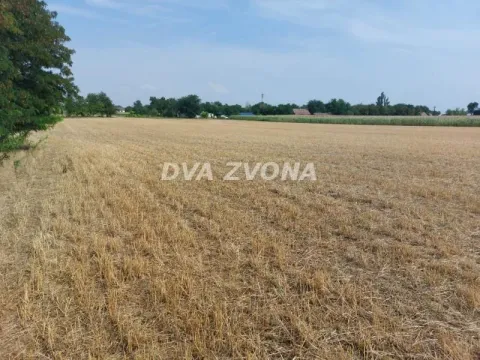 Prodaja, kuća, 270m², Bečej, Novi Sad - image 14