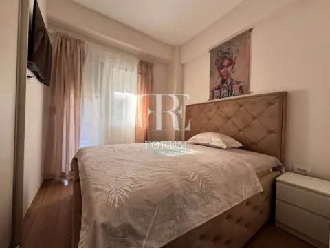 Izdavanje, jednosoban stan, 40m², Ljubović, Podgorica - image 7