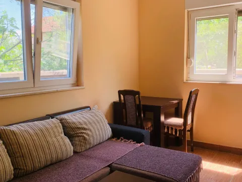 Rent, one bedroom apartment, 36m², Gornja Gorica, Podgorica - image 4
