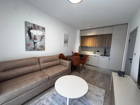 Izdavanje, jednosoban stan, 38m², Zabjelo, Podgorica - image 2