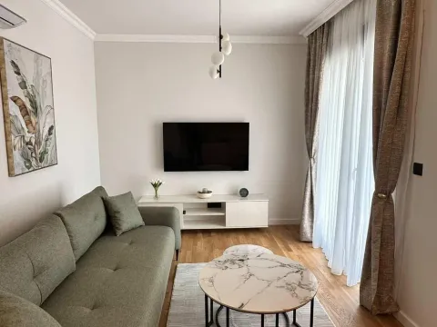Rent, one bedroom apartment, 60m², Zabjelo, Podgorica - image 1