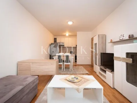 Izdavanje, jednosoban stan, 48m², Stari Aerodrom, Podgorica - image 1