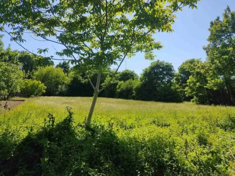 Prodaja, plac, 2774m², Kosić, Danilovgrad - image 4