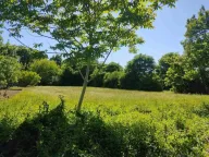 Sale, land lot, 2774m², Kosić, Danilovgrad - image 4