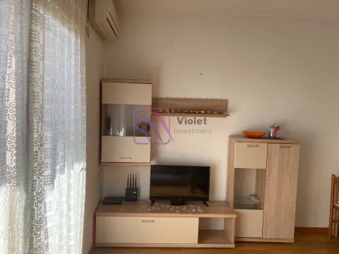 Dnevna soba sa namještajem i televizorom pored prozora. - image 3