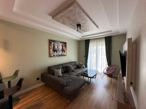 Izdavanje, jednosoban stan, 41m², Zagorič, Podgorica - image 14
